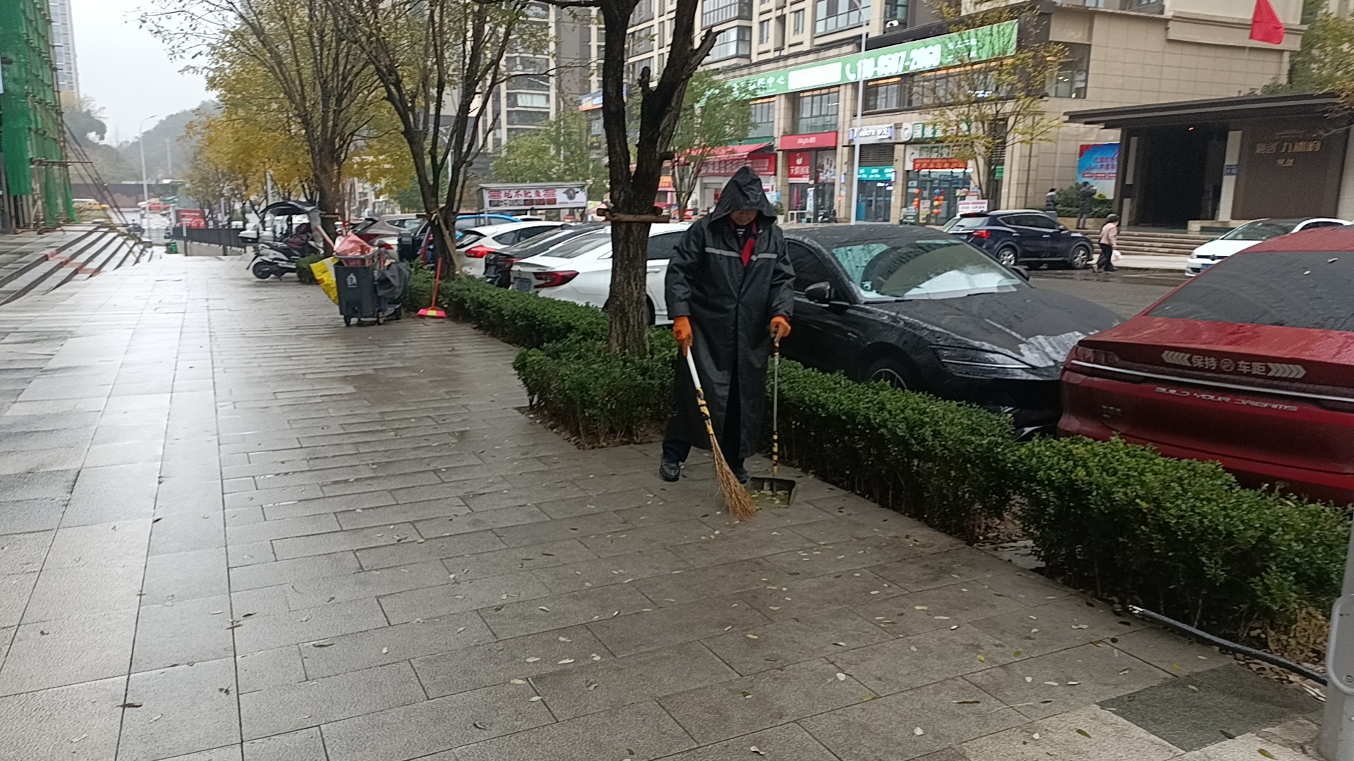 項(xiàng)目展示